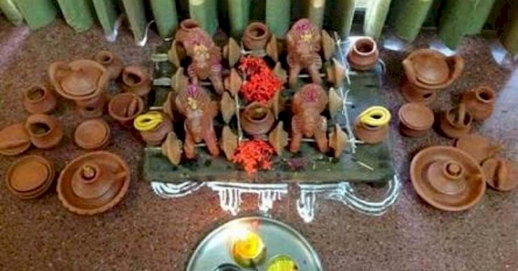 CG - ग्रामीण अंचलों में पोला त्योहार कल तैयारी जोर-शोर के साथ शुरू...
