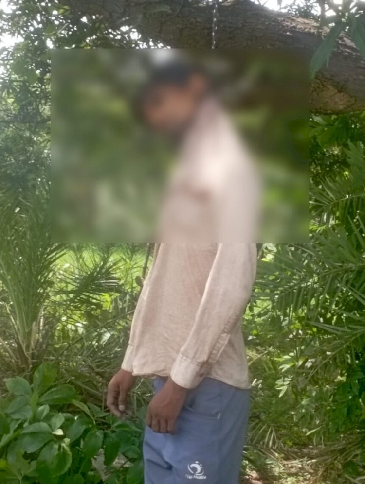CG - पेड़ पर लटकती मिली युवक की लाश, ये बोलकर निकला था घर से, परिजनों ने जताई ये आशंका, हत्या या आत्महत्या जांच में जुटी पुलिस.....