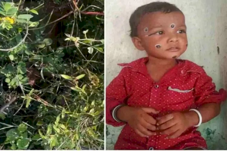 CG Crime News : राजधानी में 3 साल के बच्चे की हत्या, नाबालिग ने गला दबाकर उतारा मौत के घाट, झाड़ियों में मिला शव, इलाके में आक्रोश......