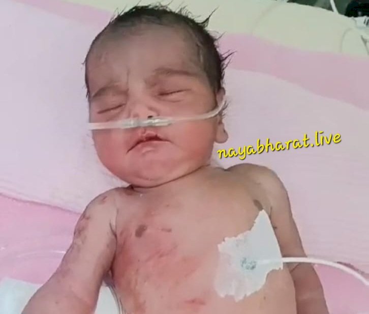 CG- लावारिश हालत में मिली नवजात बच्ची: मानवता शर्मसार, झाड़ियों के बीच पड़े होने की सूचना पर पहुंची डायल 112 टीम, फिर हुआ ये....