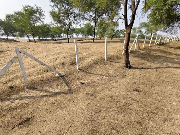 कुकुर्दीकला के गौठान में चोरो का आतंक ले उड़े फैंसिंग तार सौर पैनल केबल और सेड में लगे छावनी पर भी कर दिए हाथ साफ सरपंच ओमकार पैकरा ने कराया थाना में कंप्लेंन पढ़े पूरी ख़बर