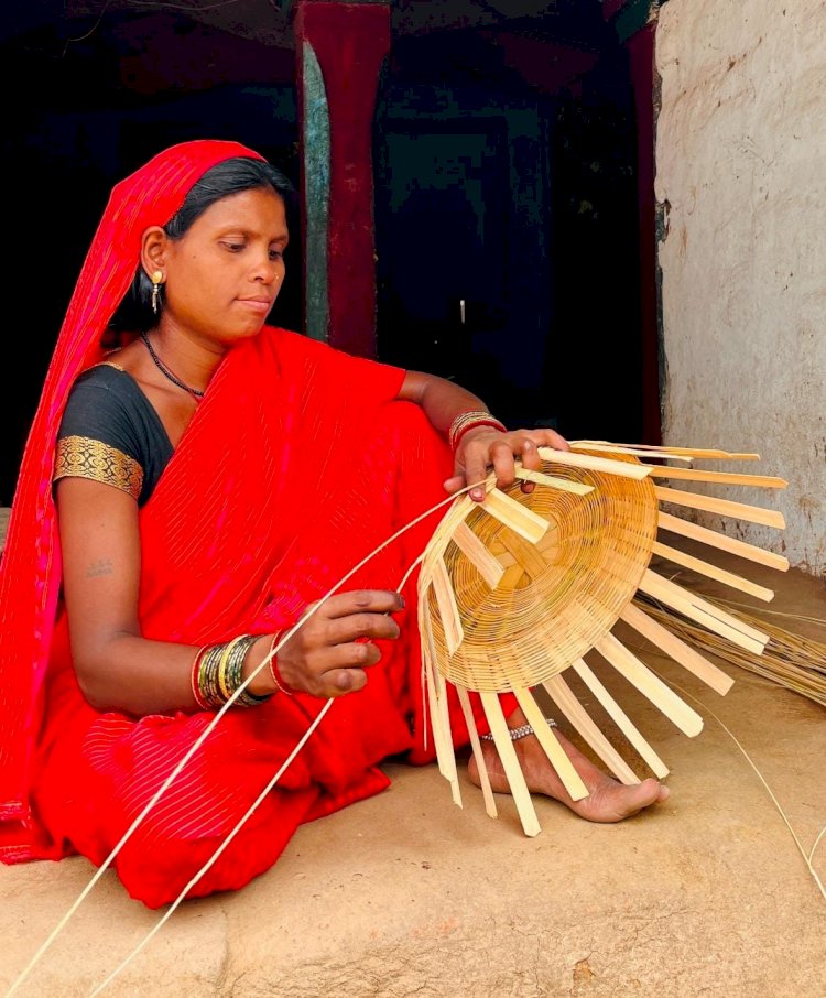 Chhattisgarh News : CM विष्णुदेव साय ने महिलाओं के खाते में दिये अब तक 6530.41 करोड़, महतारी वदंन ने बढ़ाया नारी शक्ति का मान...